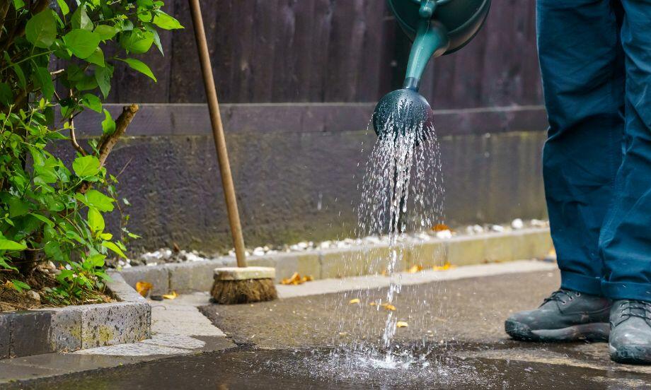 Bostik DIY UK Ideas & Inspiration - How to remove green growth teaser