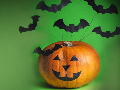 A bright orange pumpkin decorated with black paper bats and a smiling jack-o’-lantern face against a green background.