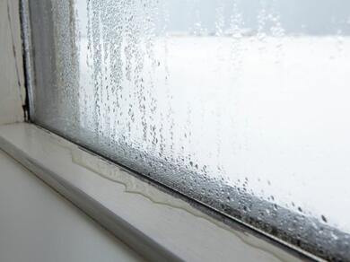 Condensation collecting on a cold window in winter.