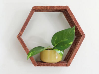 DIY hexagon display shelf made from wooden popsicle sticks, painted brown, hanging on the wall with a small plant inside.