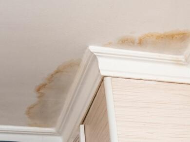 Colț de tavan cu urme de infiltrații și cornișă deteriorată, sugerând o nevoie de reparare și reîmprospătare cu soluții Bostik.
