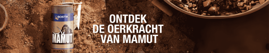 Bostik DIY Belgium Homepage banner desktop