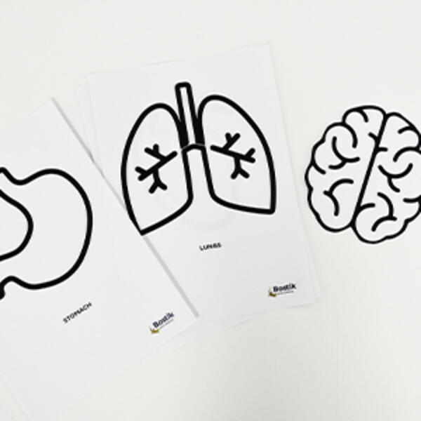 Bostik-DIY-Australia-tutorial-human-body-step-1