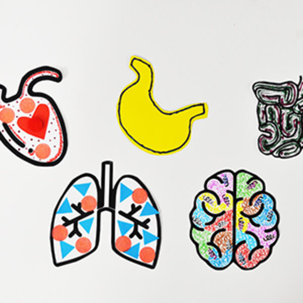 Bostik-DIY-Australia-tutorial-human-body-step-3