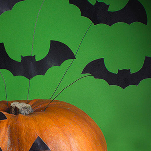 A pumpkin with a grinning face made from glued paper shapes, and several black bats attached to thin wires sticking out of the top.