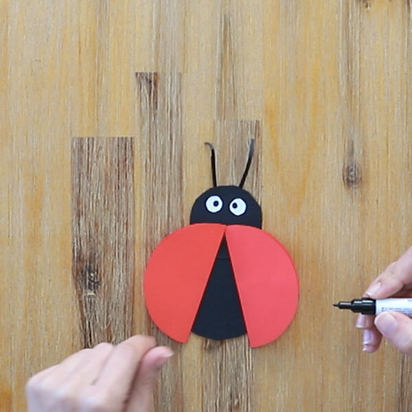 A black marker is held near the ladybug to draw pupils and add final details.