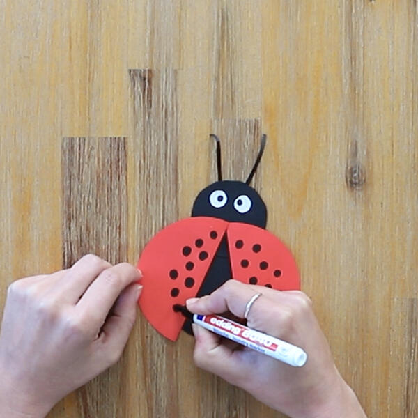 Black dots are added to the red wings using a white marker pen for contrast and visibility.