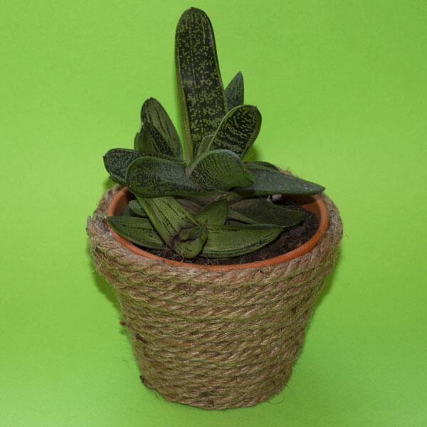 Bostik-DIY-South-Africa-Tutorial-Planter-Pots-step-3