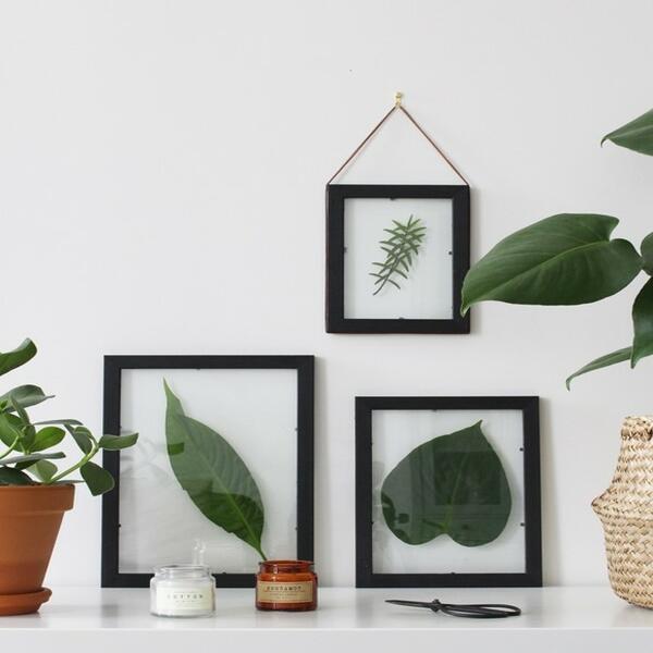 Bostik DIY Tutorial plant image title