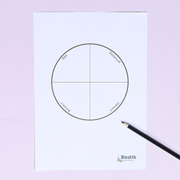 Bostik DIY Singapore butterfly life cycle craft project step 1