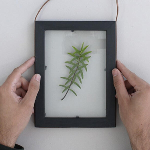 bostik diy cadre vegetal shakemyblog 10