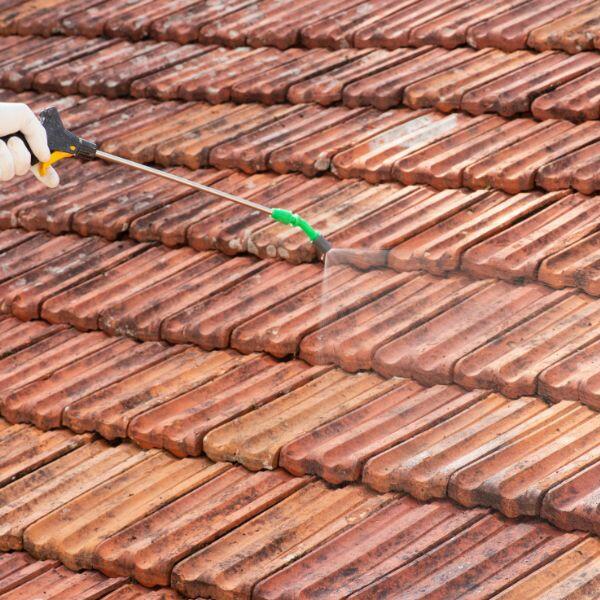 Bostik DIY UK Protect - Green Remover App 8