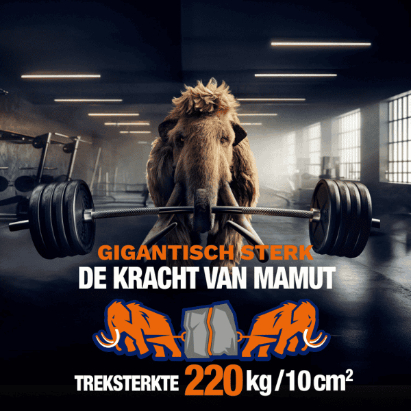 Bostik DIY Belgium Mamut Montagelijm product image