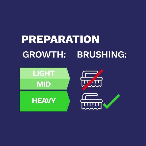 How to remove green growth from outdoor spaces | Bostik Ireland