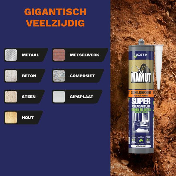 Bostik DIY Belgium Mamut Schilderskit product image 